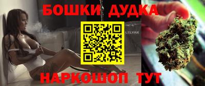 гидра Моздок