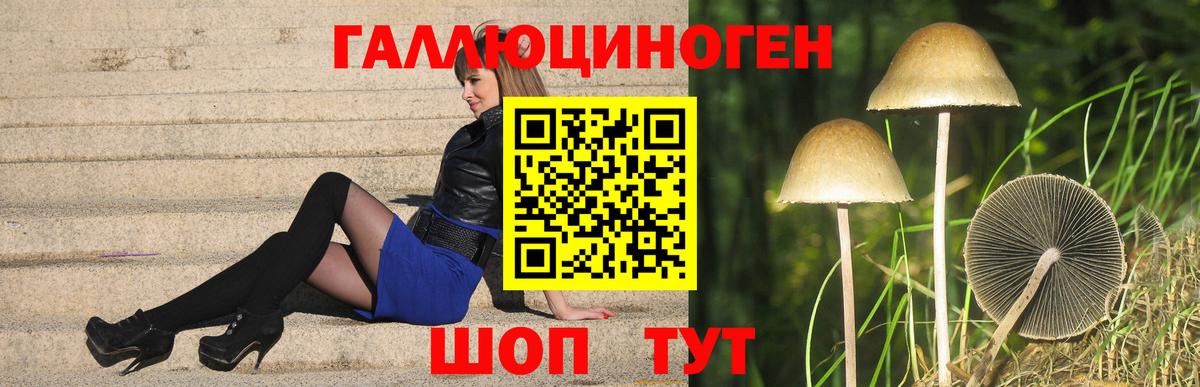Сунжа  Галлюциногенные грибы Magic Shrooms  Вход с VPN 
